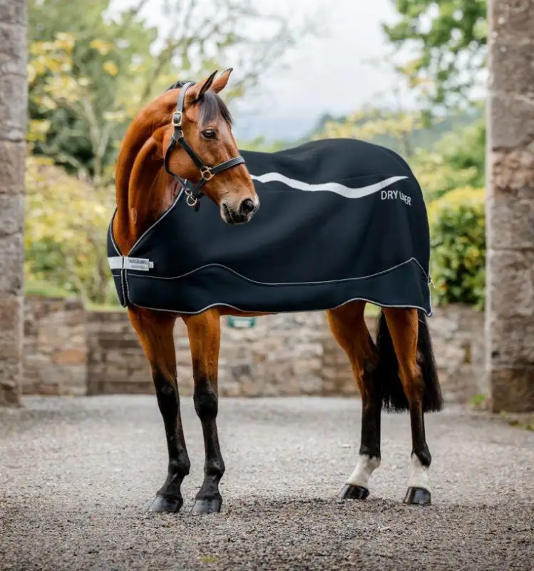 Bestseller Horseware Dry Liner 50g Light navy/silver, 145 cm