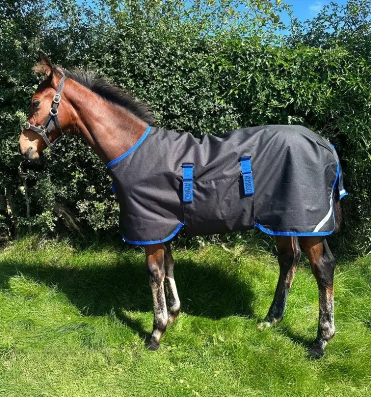 Begrenztes Angebot Horseware Amigo Ripstop 900D Foal Turnout 200g black/classic blue, 100 cm