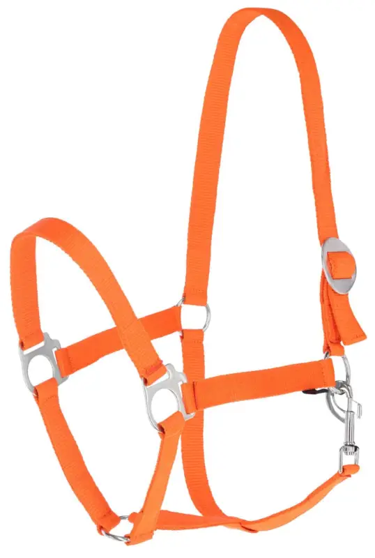 Preisknaller Kerbl Halfter Hippo orange, Shetty