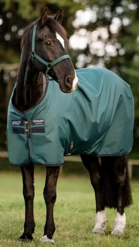 Horseware Amigo Ripstop 900D Turnout 50g dynasty green/navy & silver, 115 cm Mega-Angebot