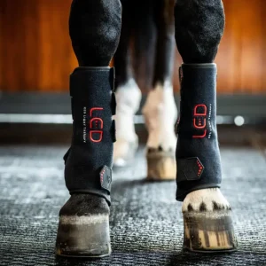 Schnäppchen Horseware LED Red Light Therapy Leg Wrap black, rechts