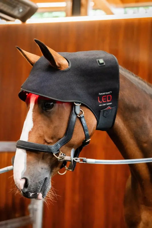 Horseware LED Red Light Therapy Poll Cap black, One Size Zertifiziert