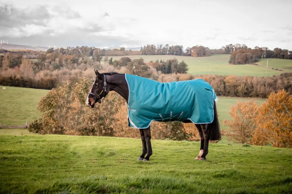 Horseware Amigo Bravo 12 Wug Lite 0g Storm Green/Turquoise, Aqua & Blue, 130 cm Beliebt