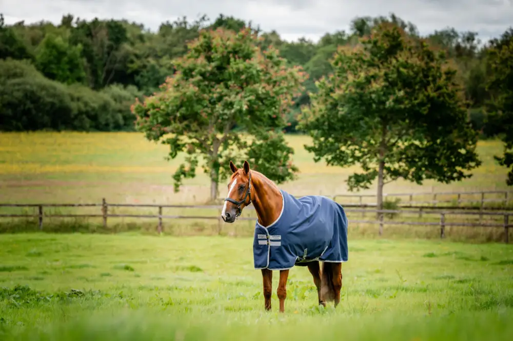 Horseware Amigo Ripstop 900D Turnout 200g navy/titanium grey, 125 cm Wochenendangebot