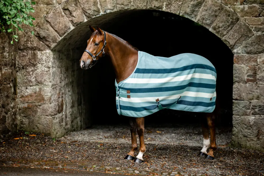 Bestpreis Horseware Newmarket Fleece Cooler Witney Dynasty, 145 cm