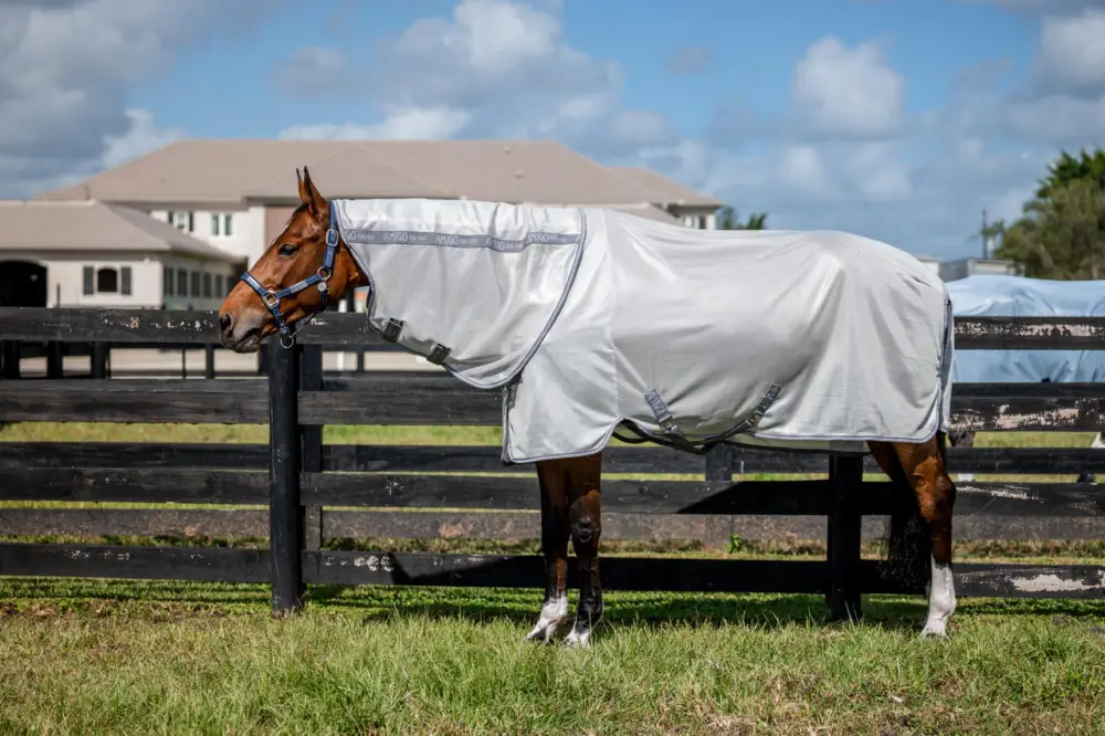 Horseware Amigo Bug Rug XL Plus silver/titanium grey & silver, 160 cm Neuheit