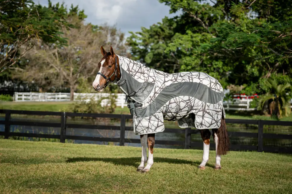 Sichere Zahlung Horseware Amigo CamoFly 3-in-1 Plus camofly print/grey, 155 cm