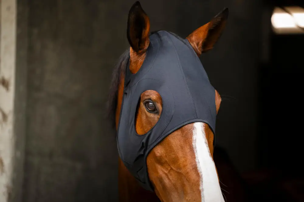 Sichere Zahlung Horseware Ionic Calming Face Mask black, M