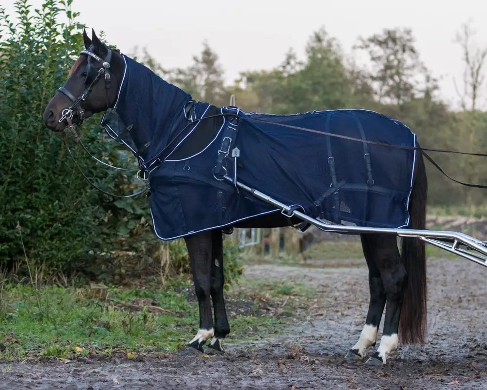 QHP Geschirr-Fliegendecke mit Halsteil blau, 155 cm Nur Heute