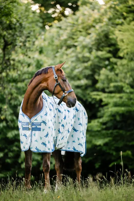 Horseware Amigo Bug Rug Dragonfly Print/Silver, Blue & Sage, 145 cm Sofort Bestellen