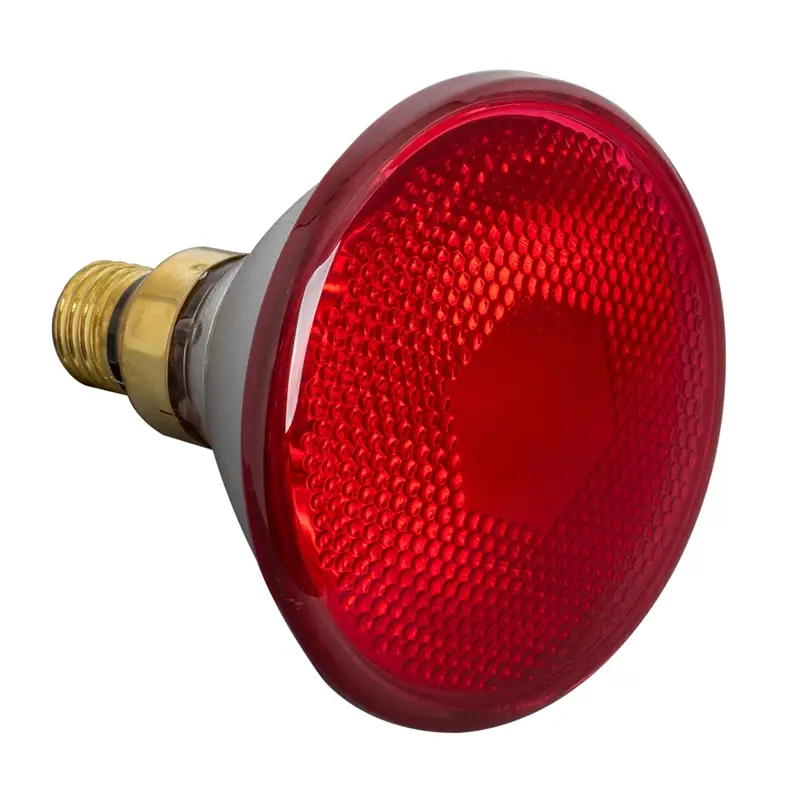 Beliebt Infrarot-Sparlampe PAR 38, 175 Watt - Infrarot Energiesparlampe, Infrarot Sparbirne, rot
