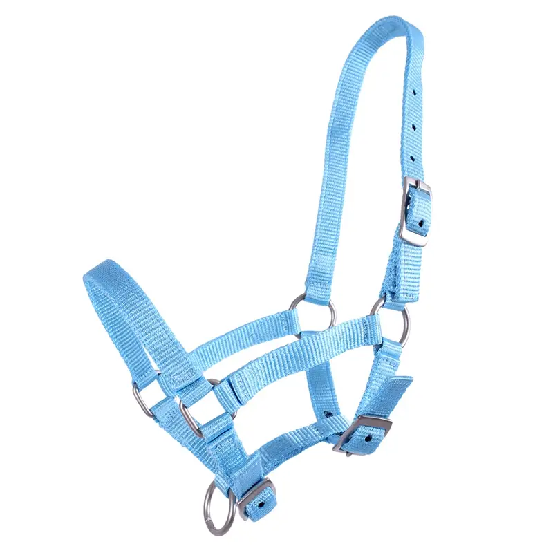 QHP Fohlen-Halfter, 3-fach verstellbar, Größe 04, babyblau Sonderangebot