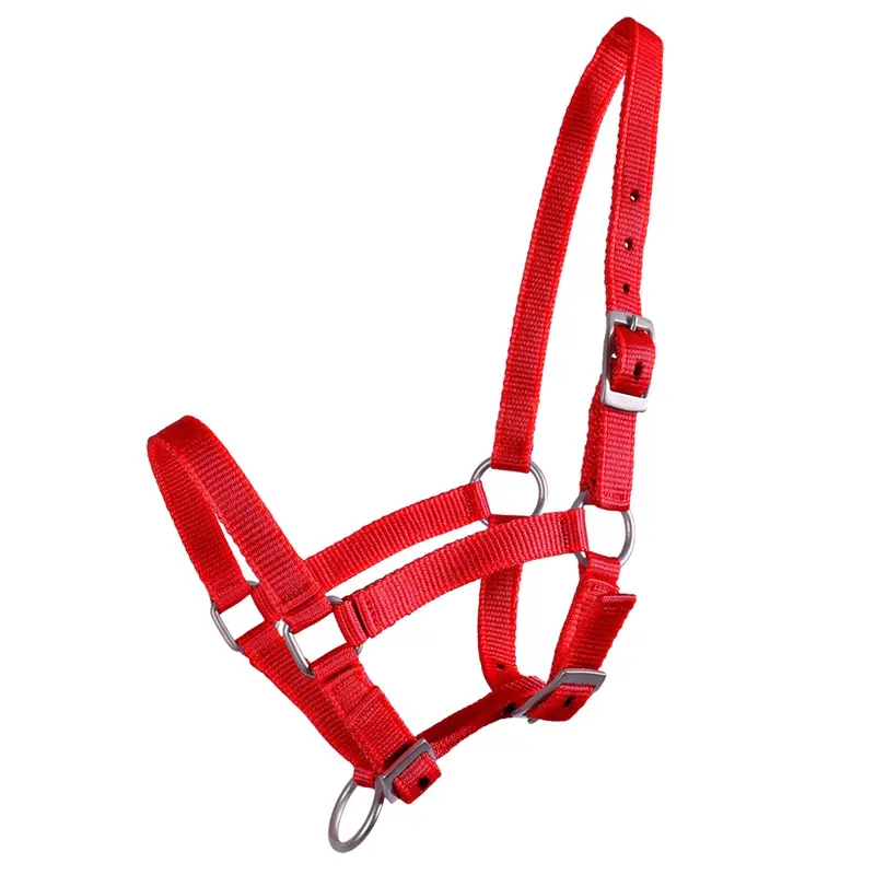 Knallerangebot QHP Fohlen-Halfter, 3-fach verstellbar, Größe 03, rot