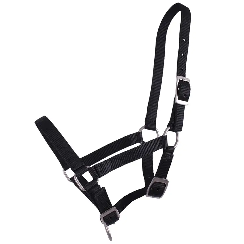 QHP Fohlen-Halfter, 3-fach verstellbar, Größe 03, schwarz Knallerangebot