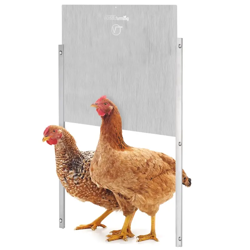 Hühnerklappe "Profi" - extra breite Hühner Schiebetür, Alu 430 x 400mm Direktkauf