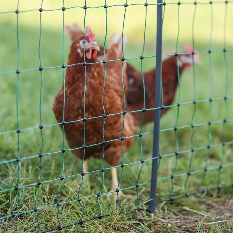 B-Ware: AKO PoultryNet Premium 50m Geflügelnetz, 106cm, 15 verstärkte Pfähle, 2 Spitzen, grün, ohne Abverkauf