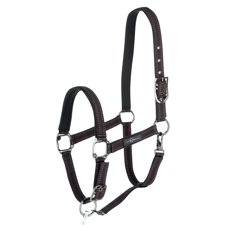 B-Ware: GoLeyGo 2.0 Pferdehalfter, schwarz-fuchsia, Größe Fohlen/ Mini-Shetland (Gr.00) Sichere Zahlung