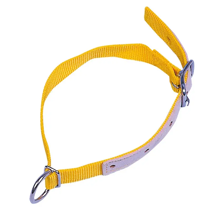 Halsriemen für Schafe Nylon 60 cm, gelb Ausverkauf