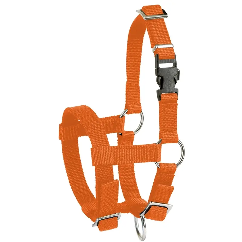 Alpaka-Halfter verstellbar, orange Jetzt Kaufen