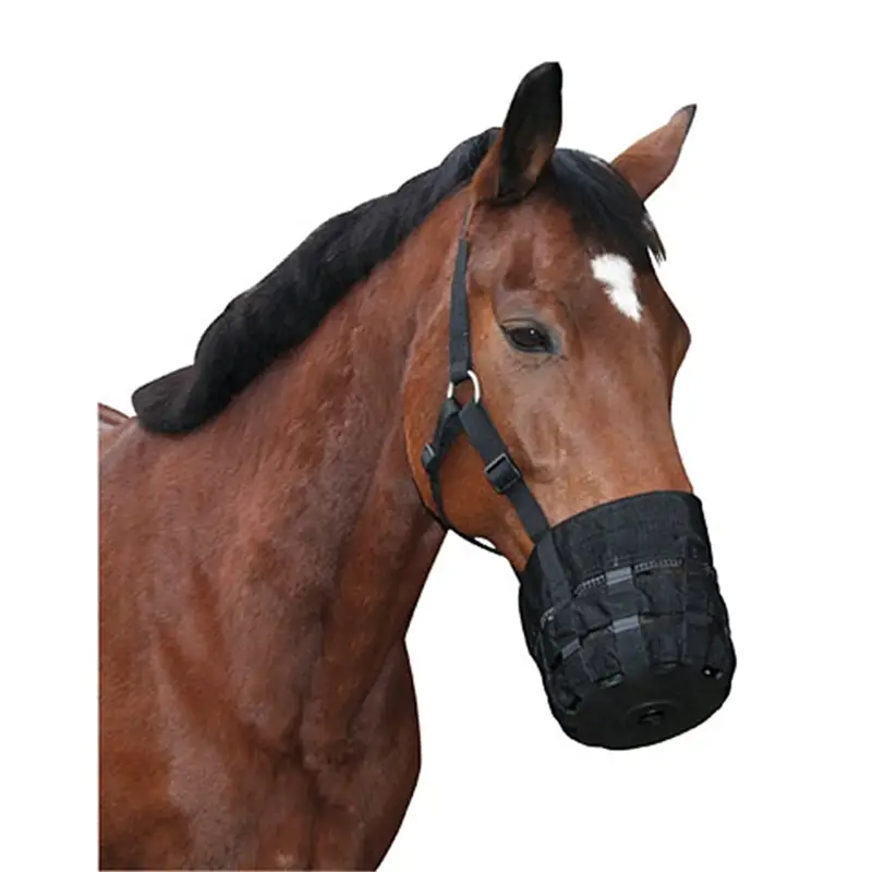 B-Ware: Maulkorb für Pferde und Ponys - Fressbremse mit Halfter, Vollblut (Gr.2) Kracherpreis