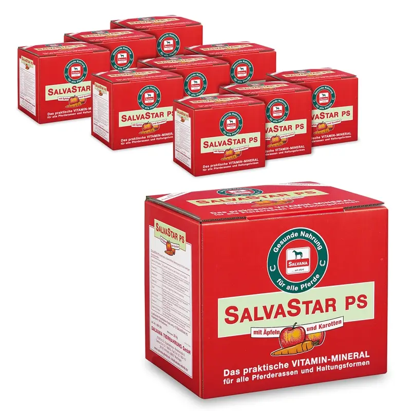 Finale Aktion Salvana SalvaStar PS 10x25kg - Mineralfutter-Riegel für Pferde