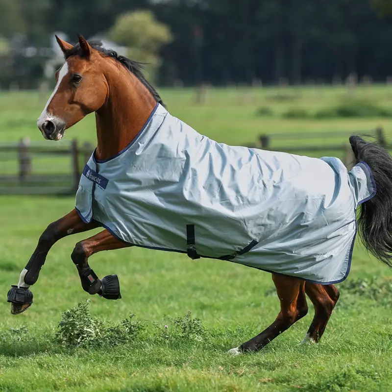 Sonderangebot Bucas Power Turnout Light High Neck 0g, 155cm, Weidedecke, Regendecke
