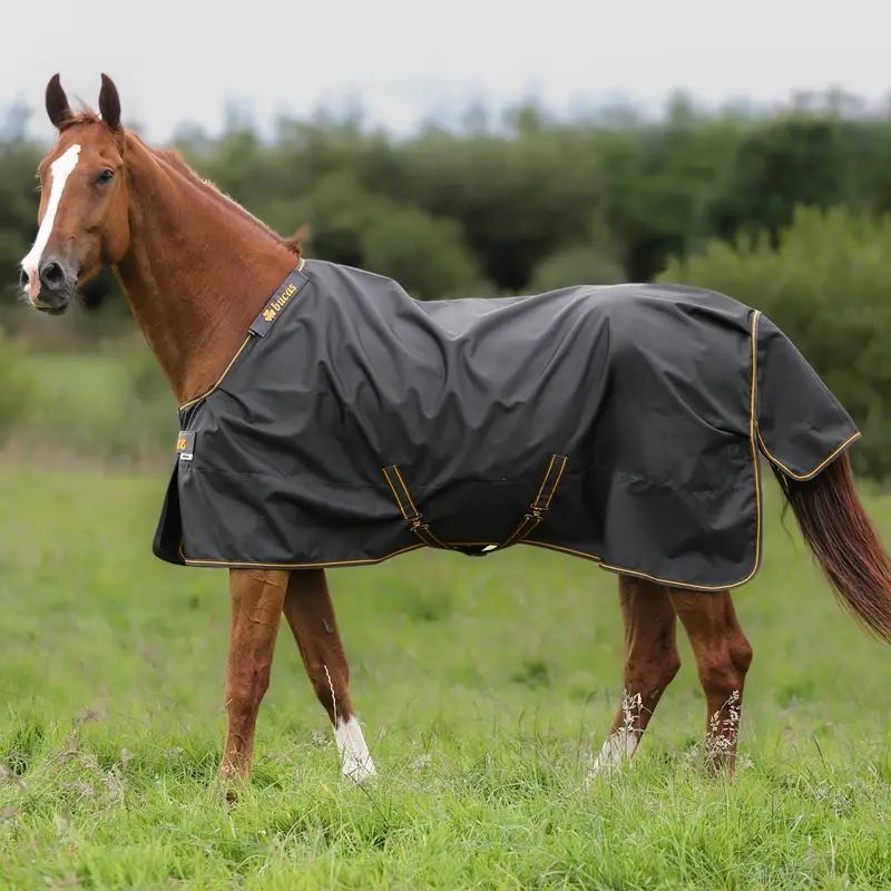Bucas Irish Turnout Regendecke, Weidedecke 50g, 165cm, Big Neck - wasserdicht und atmungsaktiv Versand Am Gleichen Tag