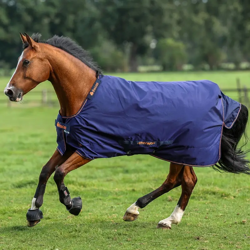 Finale Aktion Bucas Therapy Turnout Light 50g, 140cm, navy/orange, Regendecke
