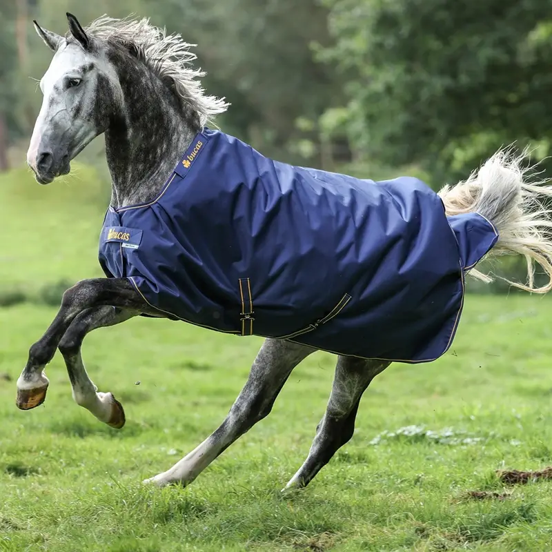 Preis Gesenkt Bucas Irish Turnout Regendecke, Weidedecke 50g, 165cm, navy/gold - wasserdicht und atmungsaktiv