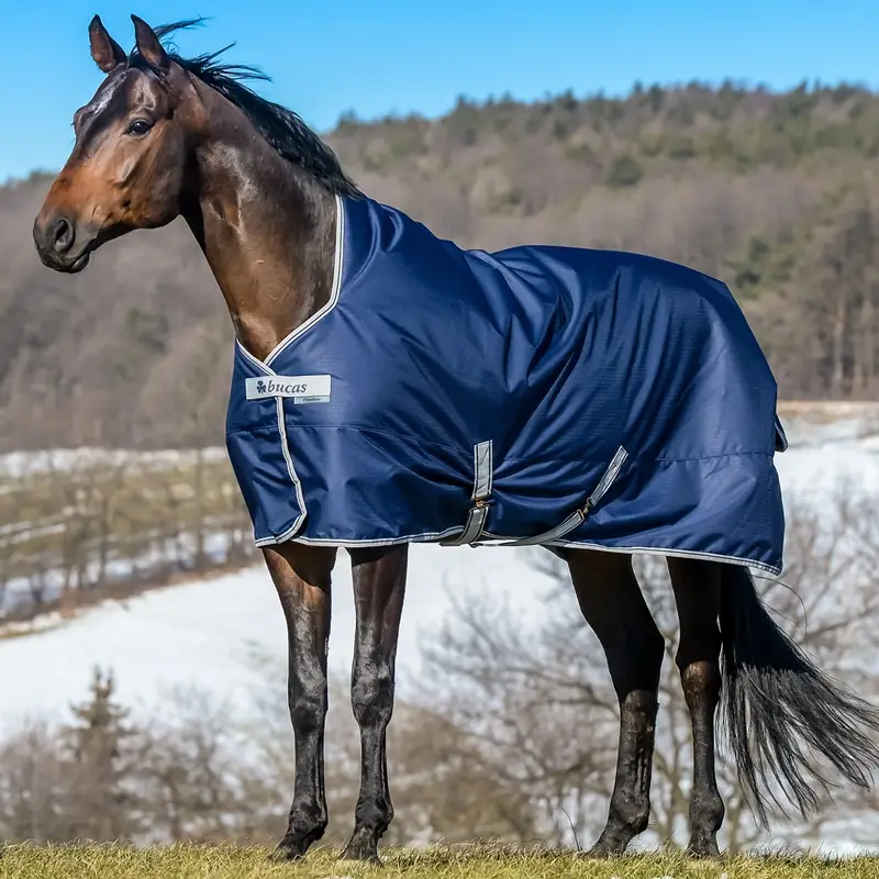 Finale Aktion Bucas Freedom Turnout High Neck, Weidedecke, 150g, 145cm
