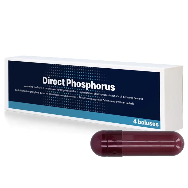 Sichere Zahlung Direct Phosphorus 4x123g - Mineralbolus für Rinder nach dem Abkalben