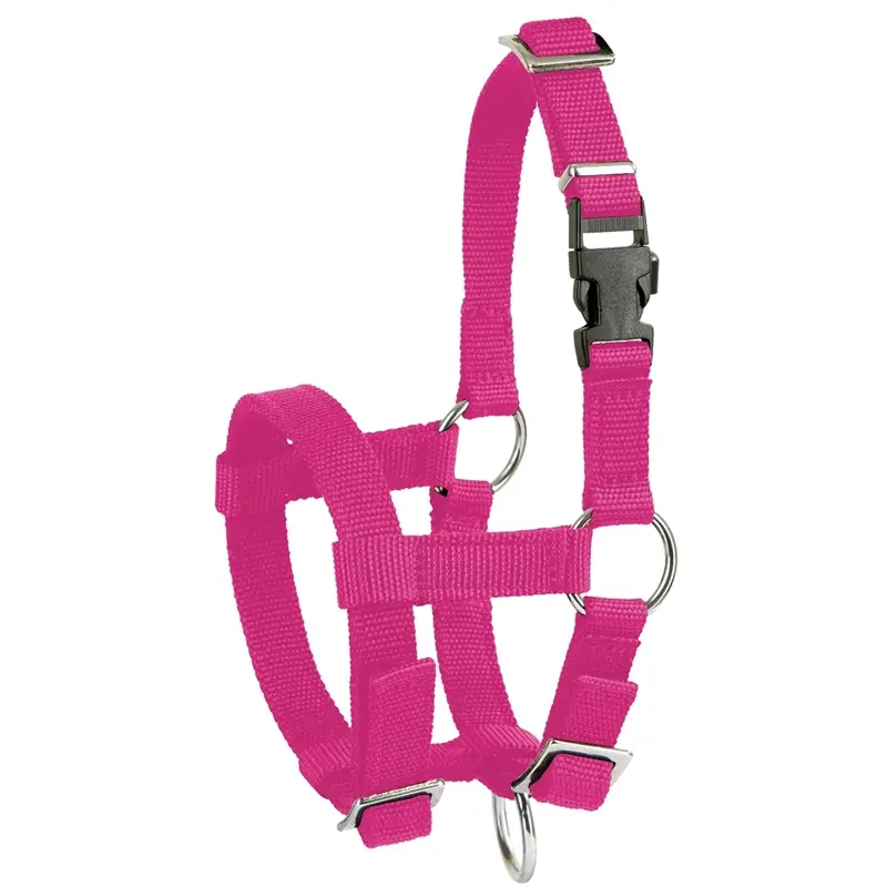 Direkt Vom Hersteller Alpaka-Halfter verstellbar, pink