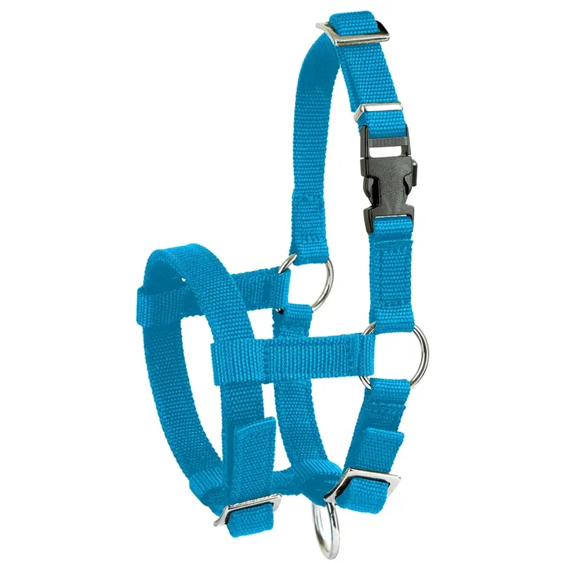 Must-Have Alpaka-Halfter verstellbar, hellblau