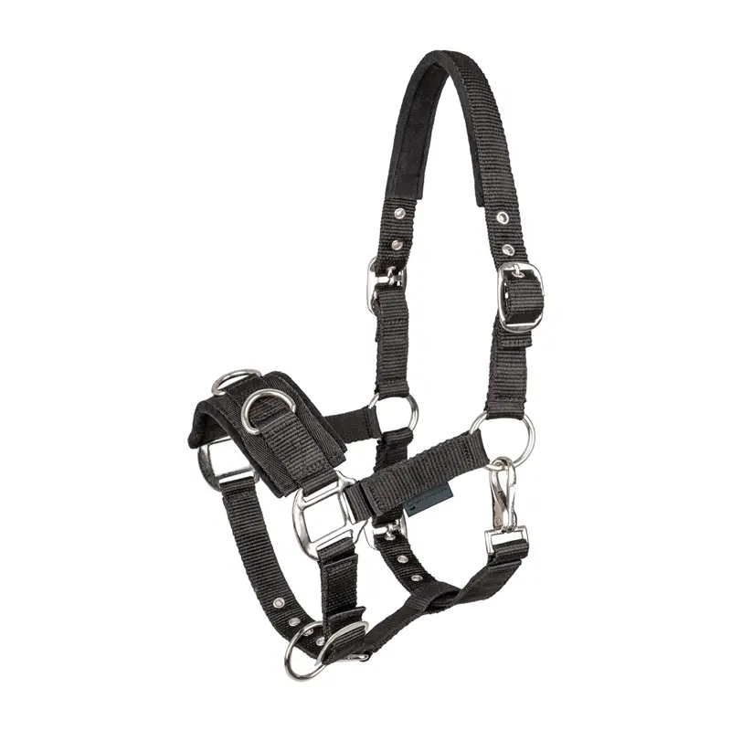 Neuheit Waldhausen Longierhalfter Economic Kappzaum Nylon gepolstert, schwarz Pony