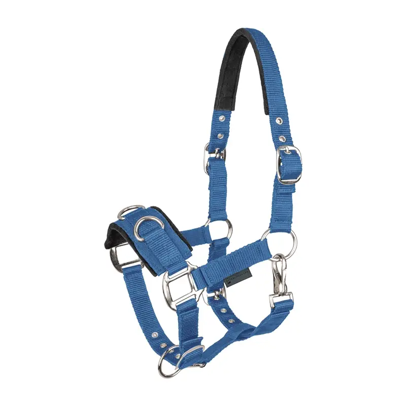 Waldhausen Longierhalfter Economic Kappzaum Nylon gepolstert, azurblau WB Heißes Angebot