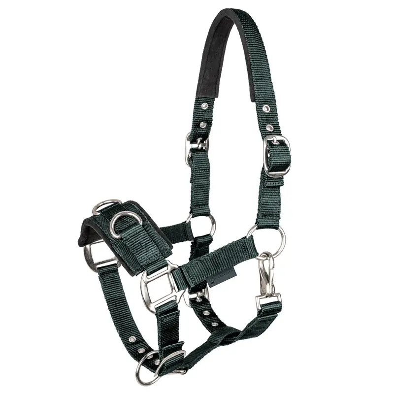 Waldhausen Longierhalfter Economic Kappzaum Nylon gepolstert, tannengrün Pony Highlight