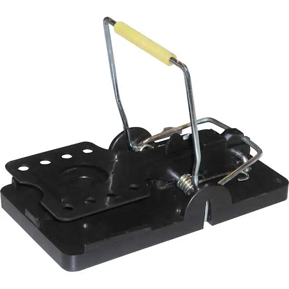 Rattenfalle Top-Preis