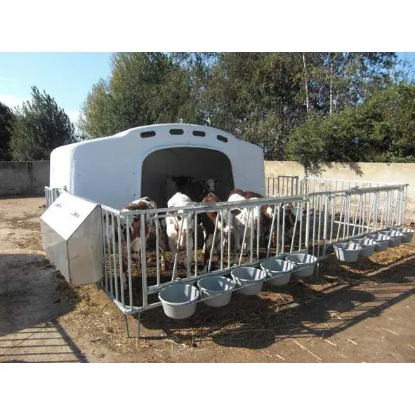 Calf-O-Tel XL-10 mit Zaun Begrenztes Angebot