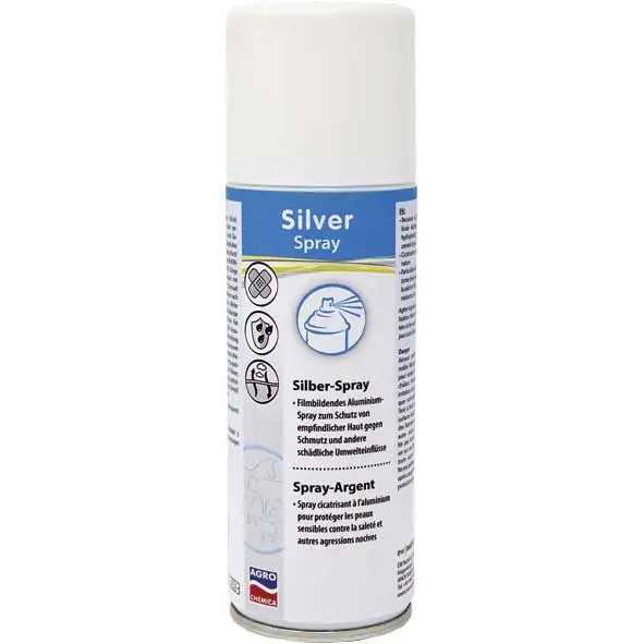 Preiswert Silberspray (200 ml)